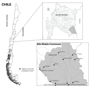 Map of the Alto Biobio Commune and the Pewenche communities. Source: Cristian Alister. 