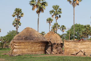 Landing page image for the collection ‘Linguistic and Anthropological Documentation of Kulaale, an Endangered Language of Chad’